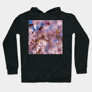 Cherry Blossom Hoodie